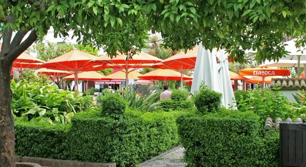 Рестораны в садово-парковых комплексах Марбельи